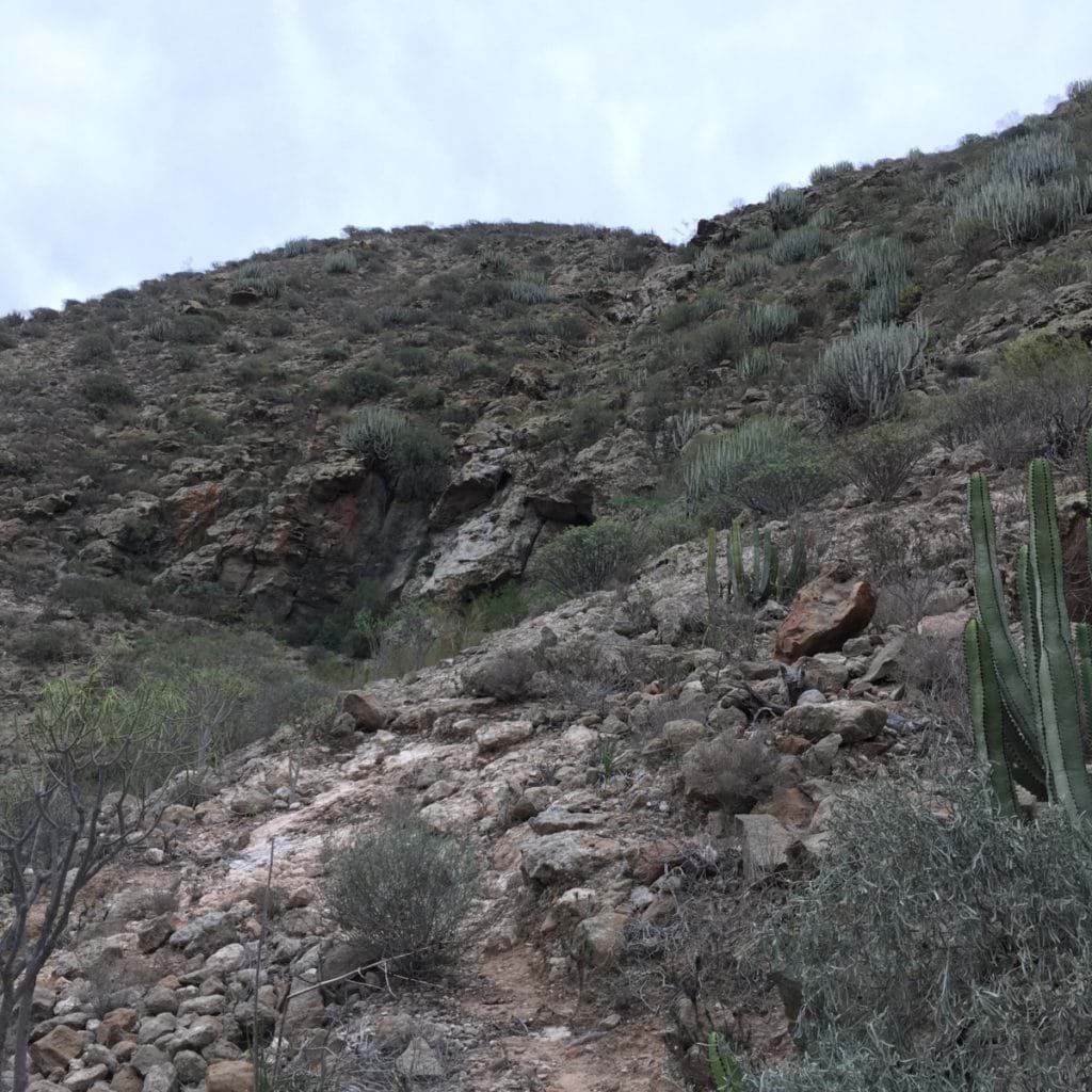 Familjesemester på Teneriffa - Bergsbestigning