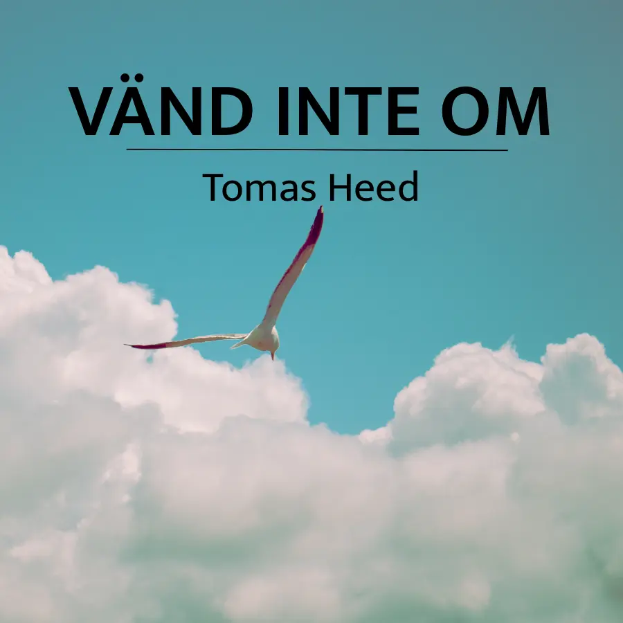 Skivomslag - Vänd inte om - Tomas Heed